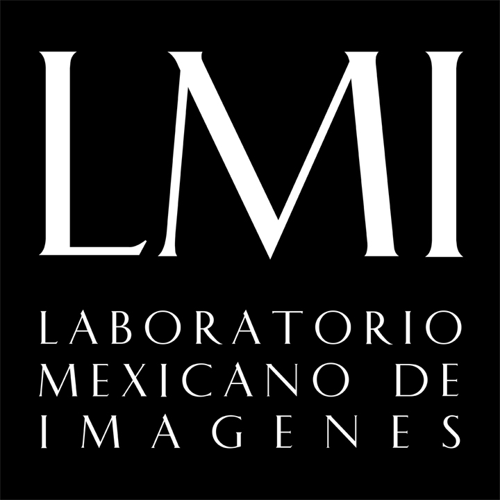 LMI