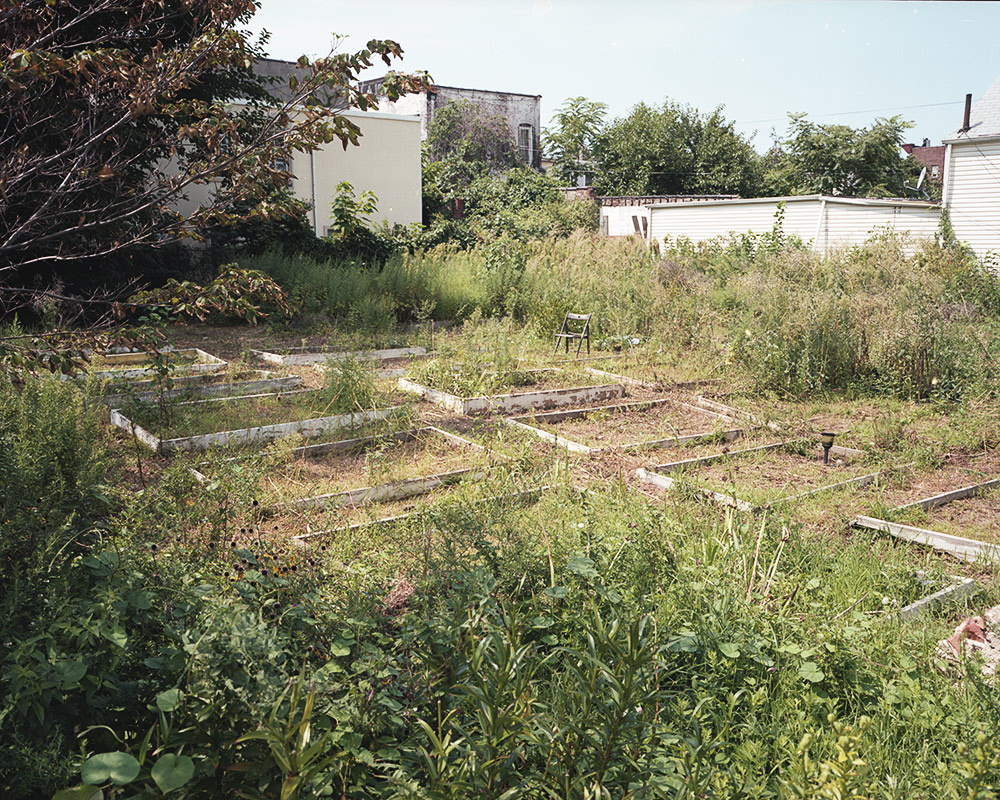 abandoned-garden-east-new-york