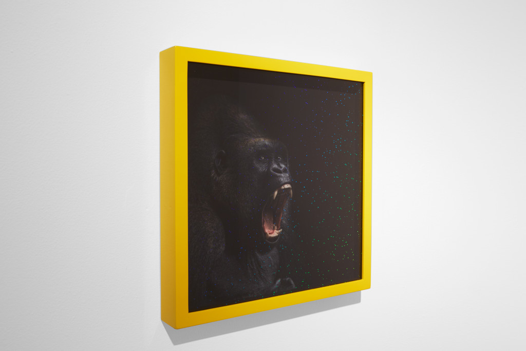 Gorilla (2015) - Joseph Desler Costa