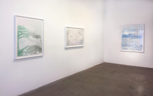 Installation view of Jesse Chun: On Paper