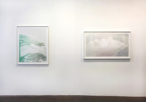 Installation view of Jesse Chun: On Paper