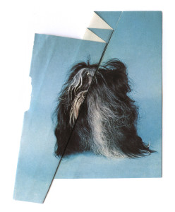 Ruth van Beek, Untitled