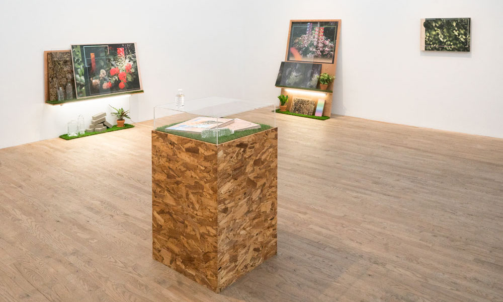 Mark Dorf: Transposition Mark Dorf: Transposition
