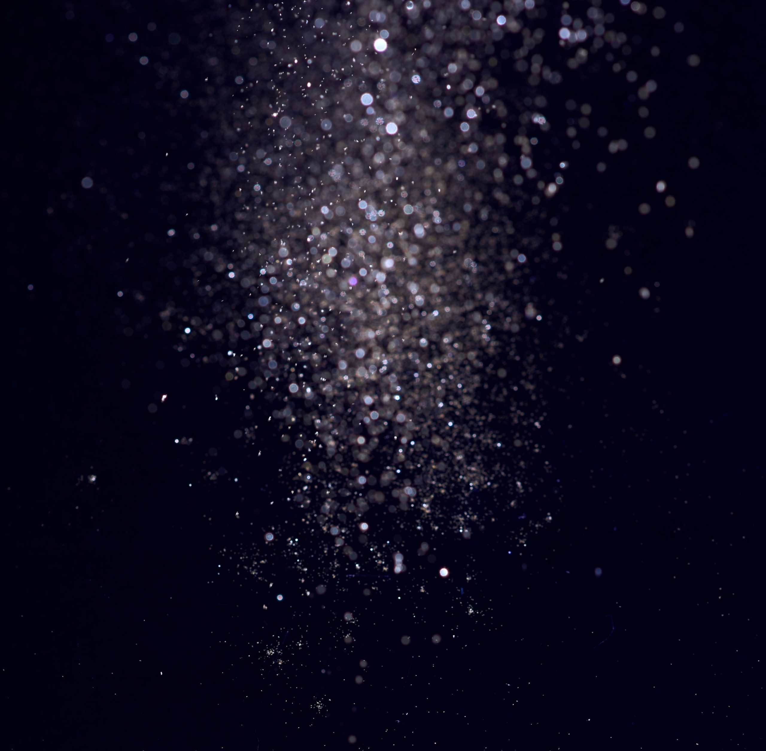 Lorenzo_Featured