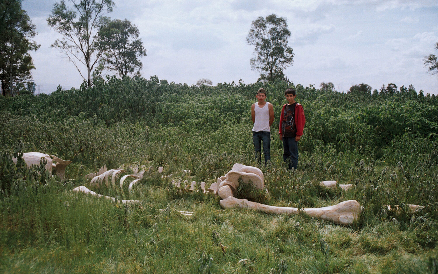 ClementeCastor_PrincipeDePaz_Still4